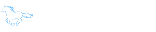 小马一键重装系统